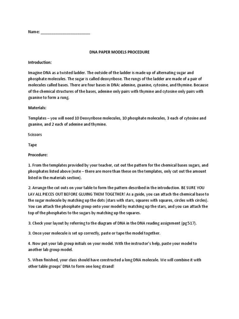DNA Model Activity and Homework Guide | PDF | Nucleotides | Dna