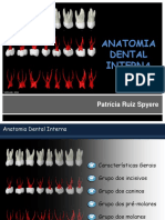 2_anatomia dental interna.pdf