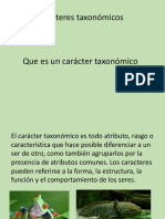 Caracter Taxonomico