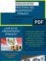 Estructura Del Presupuesto Público