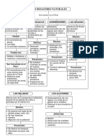 Mapa Conceptual de Desastres