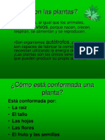 PPT LAS PLANTAS Y SUS CARACTERISTICAS.ppt