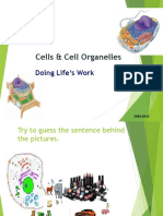 Parts of The Cell Students