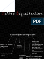 Capturing Carbon: Carbon Sequestration Techniques