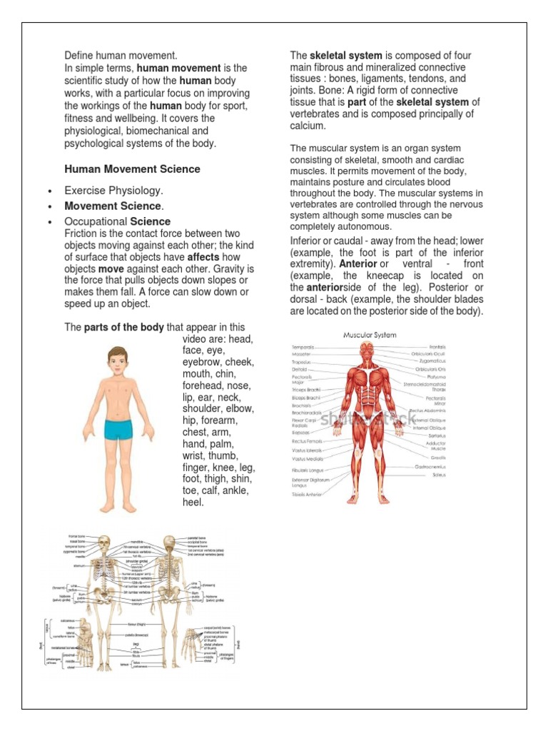 Define Human Movement PDF Anatomical Terms Of Location Human Body