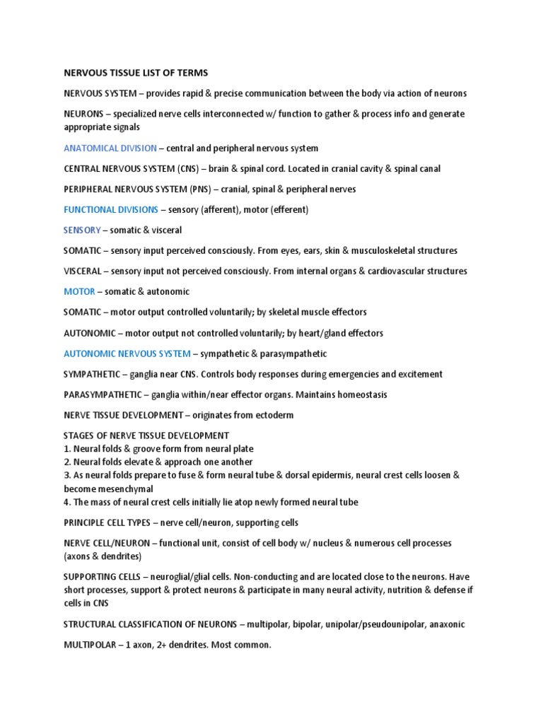 Nervous Tissue Terminology Overview | PDF | Neuron | Axon