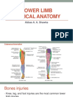 Lower Limb Clinical Anatomy: Abbas A. A. Shawka
