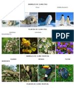 338255611-Animales-de-Clima-Frio.pdf