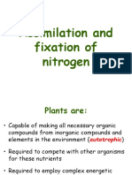 Assimilation and Fixation of Nitrogen