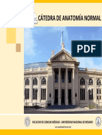 Catedra de Anatomia Medicina Unr