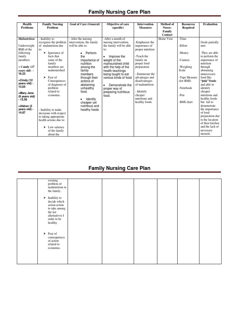 Family Nursing Care Plan PDF Malnutrition Nursing