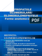 Nefropatiile Glomerulare/ Glomerulonefritele Forme Anatomo-Clinice