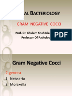 Am - Ve Cocci DPT