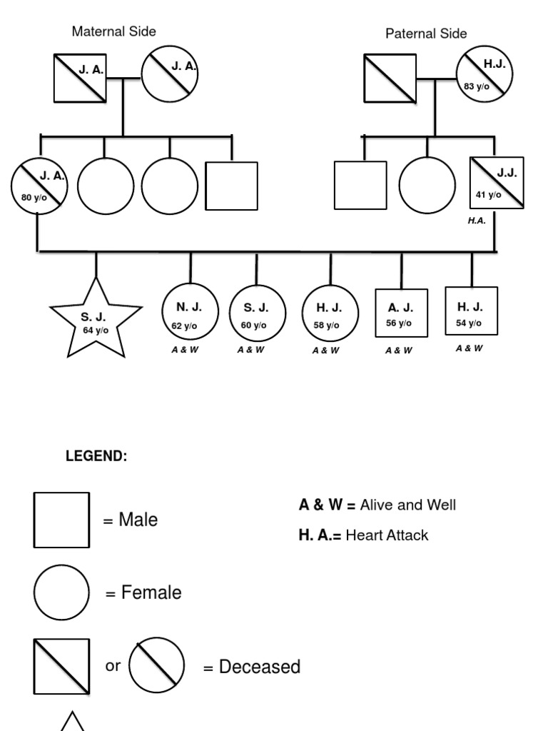 Paternal Side Maternal Side: J. A. J. A. H.J | PDF