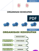 Organisasi Kehidupan