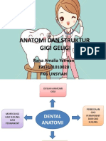 Anatomi Dan Struktur Gigi Geligi