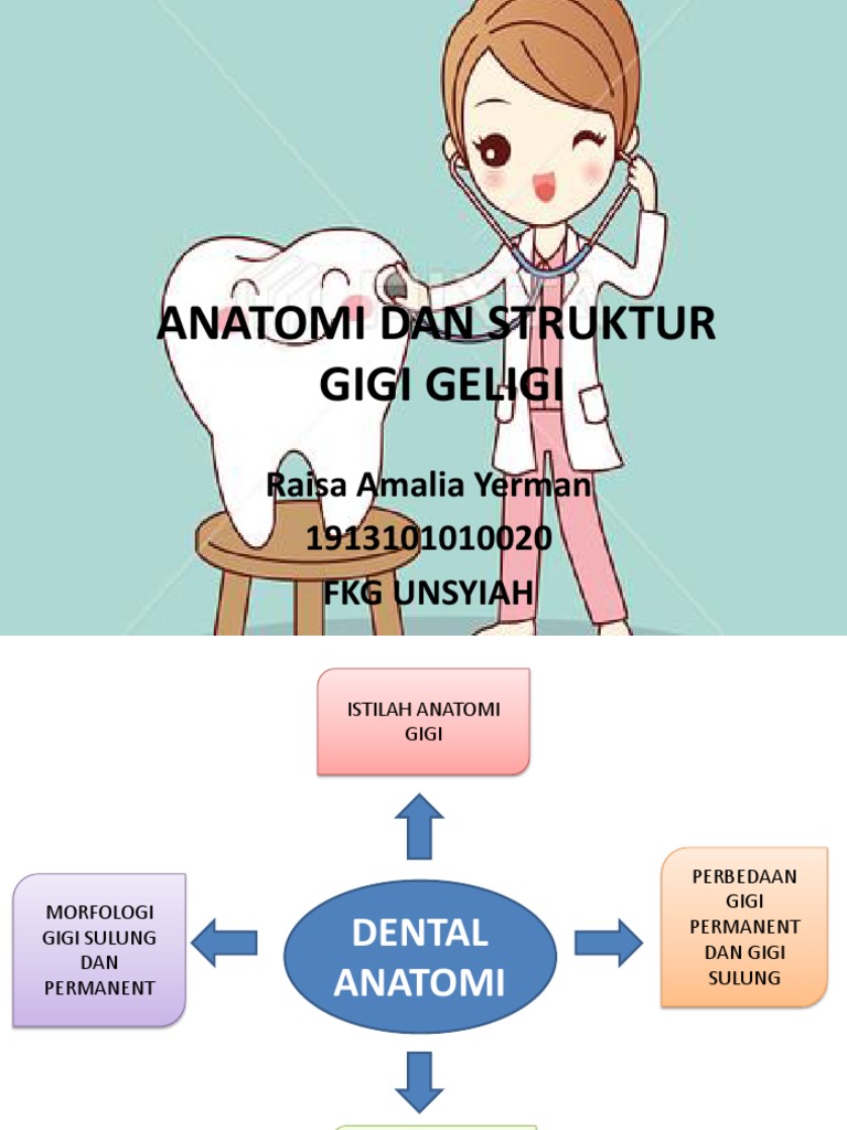 Anatomi Dan Struktur Gigi Geligi Raisa Amalia Yerman 1913101010020 Fkg Unsyiah