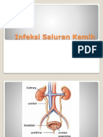 Infeksi Saluran Kemih Baru