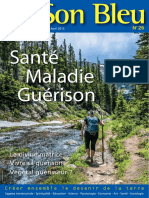 revue26-Santé-Maladie-Guérison