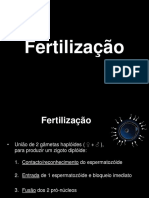 Fertilização: Processo de união dos gâmetas e ativação do óvulo