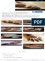 Gol Bumbro Design Mehndi Latest - Google Search PDF