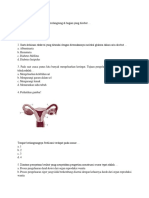 Latihan Soal IPA