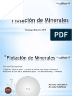 Flotación de minerales 