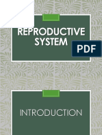 Intro Reproductive