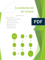 Impacto Ambiental Del Ser Humano