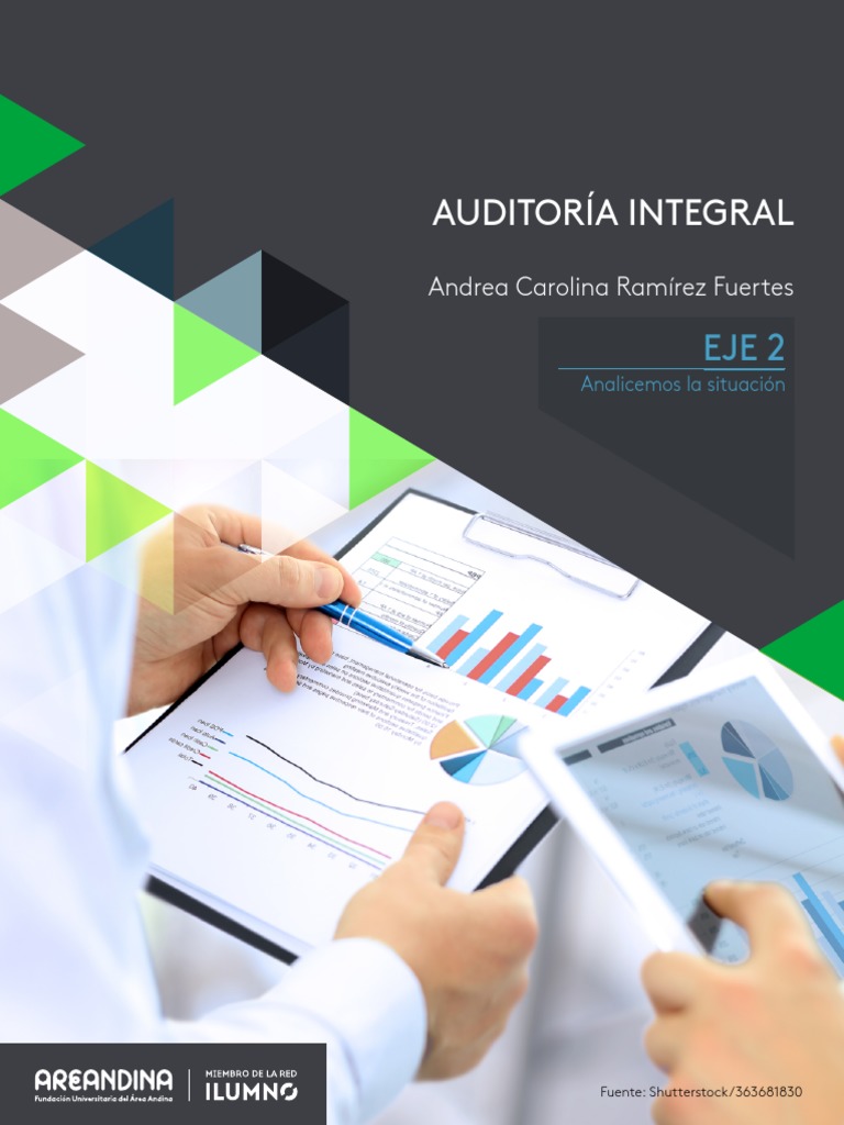 Normas de Auditoría Integral | PDF | Auditoría | Contralor