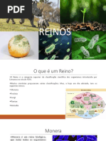 Reinos.pptx