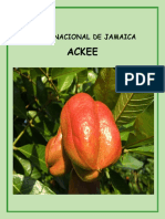 Fruta Nacional de Jamaica PDF