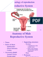 Reproductive System: Endocrinology of Reproduction