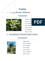 Fauna: 1. Mangga Kasturi, Indonesia