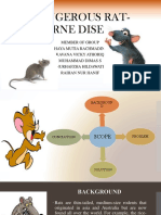 Dangerous Rat-Borne Disease