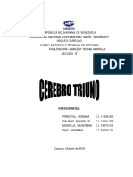 Cerebro Triuno