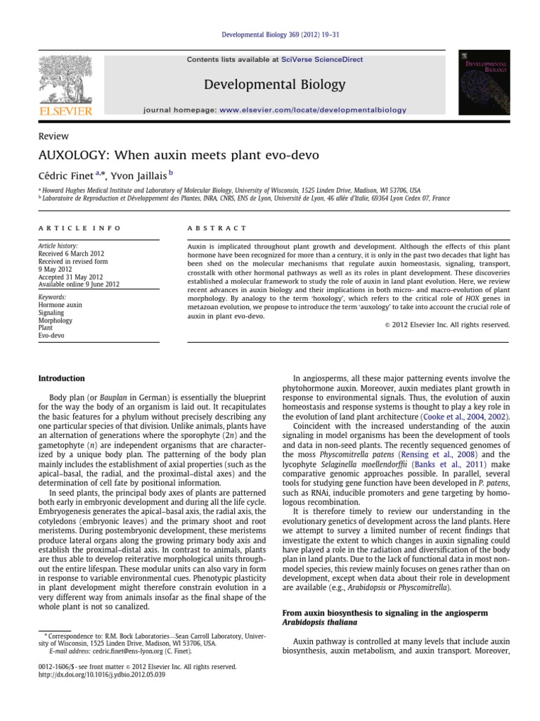 Auxology: Auxin's Role in Plant Evolution | PDF | Auxin | Root