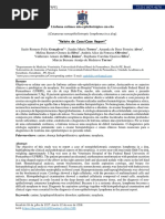 Linfoma Cutaneo Nao-epiteliotropico Em Cao