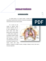 Drenajetorcicoinforme 120330162146 Phpapp02 PDF