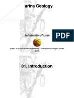3.MarineGeologyIESO2009.pdf