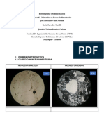 Tarea3 Minerales