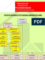 struktur organisasi pkm1