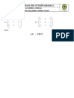 Ejercicio Matrices PDF