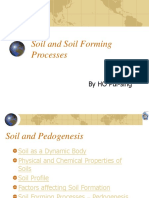 Soil and Soil Forming Processes