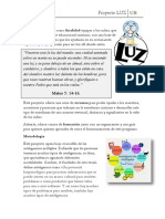 Proyecto LUZ Pag Web