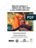 Tren-Maya-Impactos-Sociales-Territoriales-201906.pdf