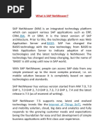 BW Basis: What Is Sap Netweaver?