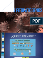 virus (1).ppt