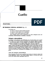 Cuello.pdf