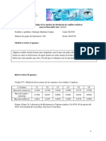 Modelaje Cinético de Confites